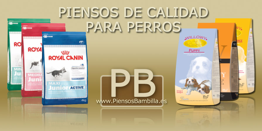 Arrimadas Abogado