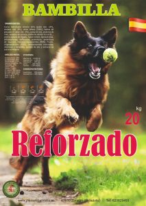 bambilla-reforzado